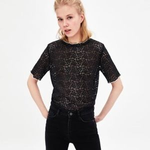 NWT Zara T-Shirt with Piping 🌺💕🙌